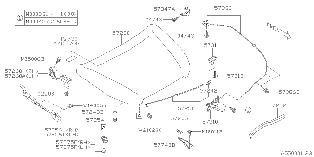 upload/1c/202506/57310FJ010.jpg